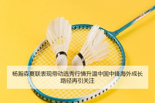 杨瀚森夏联表现带动选秀行情升温中国中锋海外成长路径再引关注
